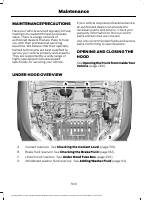 manual Ford-Mustang Mach-E 2025 pag313